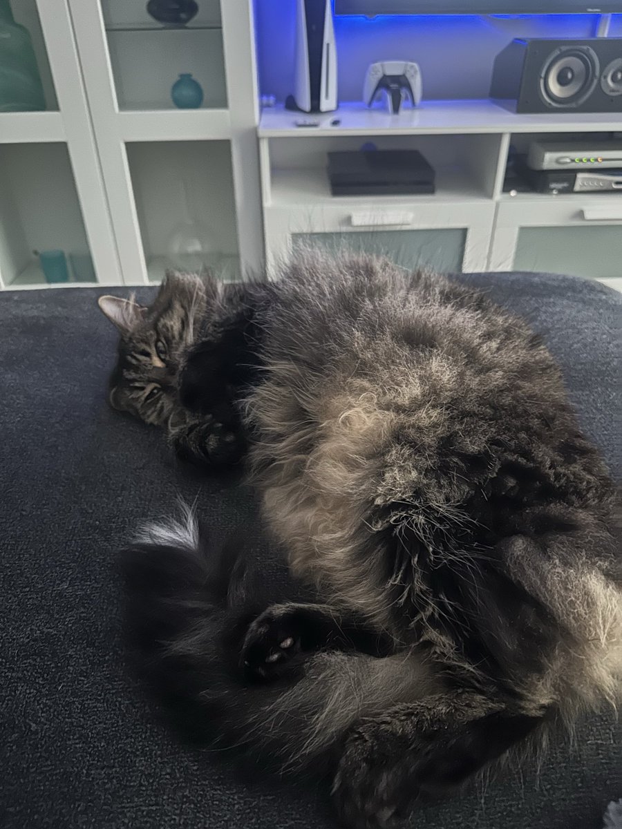 Leah Holiove tweet media