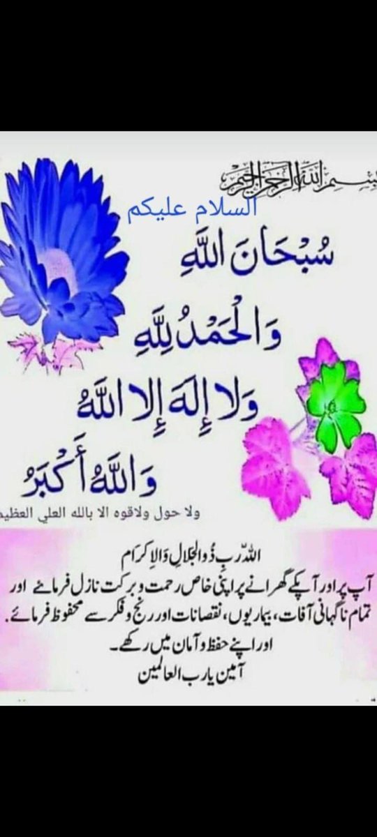 areej fatma tweet media