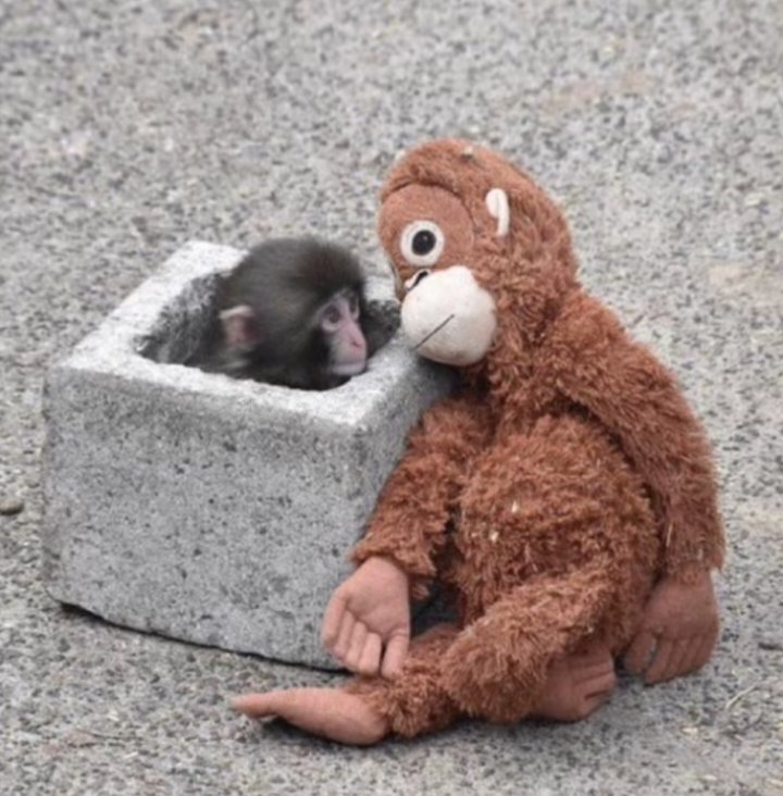 As vezes pra gente não ficar louco com os problemas, a gente começa a rir baixinho deles