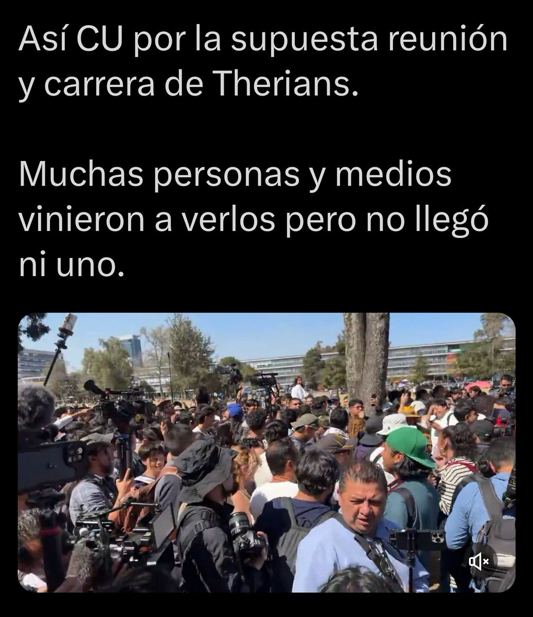 ToNapache 16 tweet media
