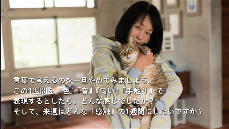 Life Passport Lab.｜人生を手帳で明るくする人 tweet media