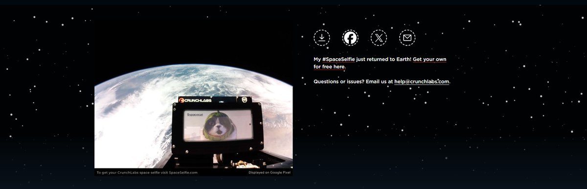 Space Cat Community on X - 2 Members