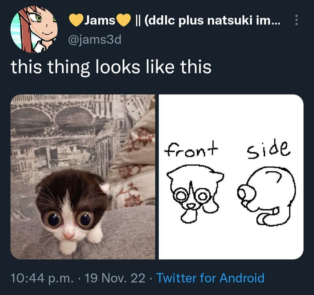 werecatwatch's tweet image. RT @ShitpostGate: