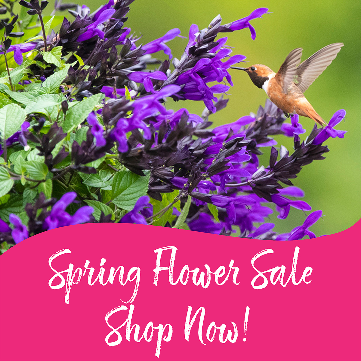 St. Michael Catholic School tweet media