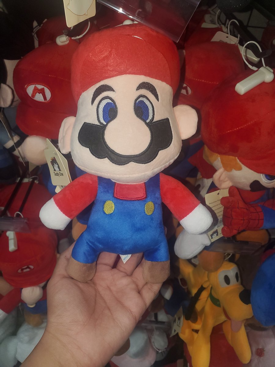 "I want ya'll to look at this dumbass mario plush I found in a store he's so stupid funny"
