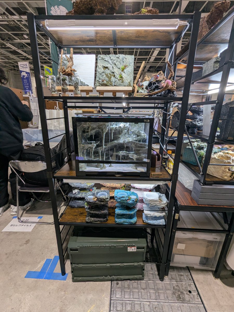 レプタイルズフィーバーの準備完了しました！