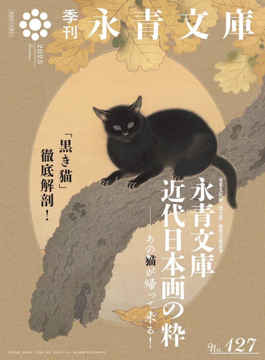 黒きﾈｺﾁｬﾝ！🐈‍⬛👀 #見て見てらでんちゃん