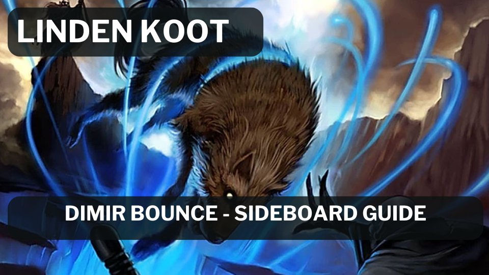 Linden Koot tweet media