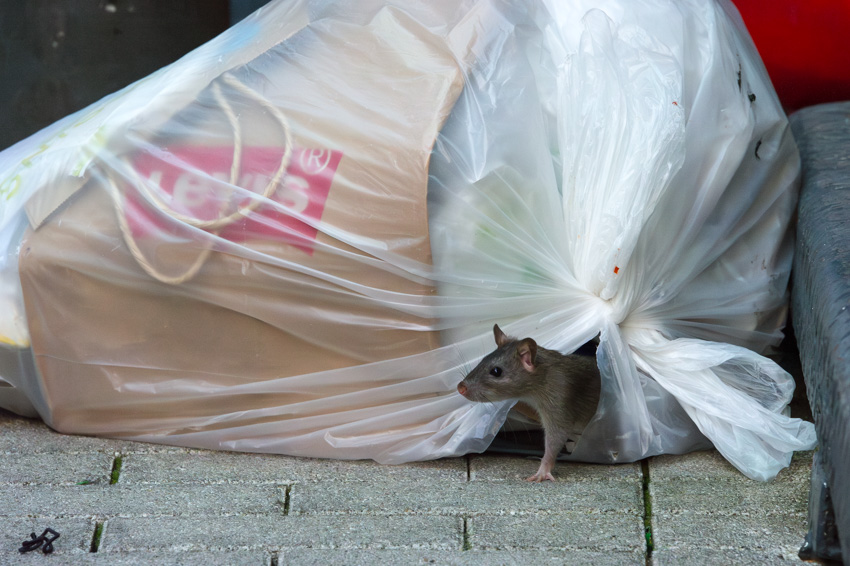 ベッドからでてくるときって、こんな感じだよね
Getting out of bed feels like this.