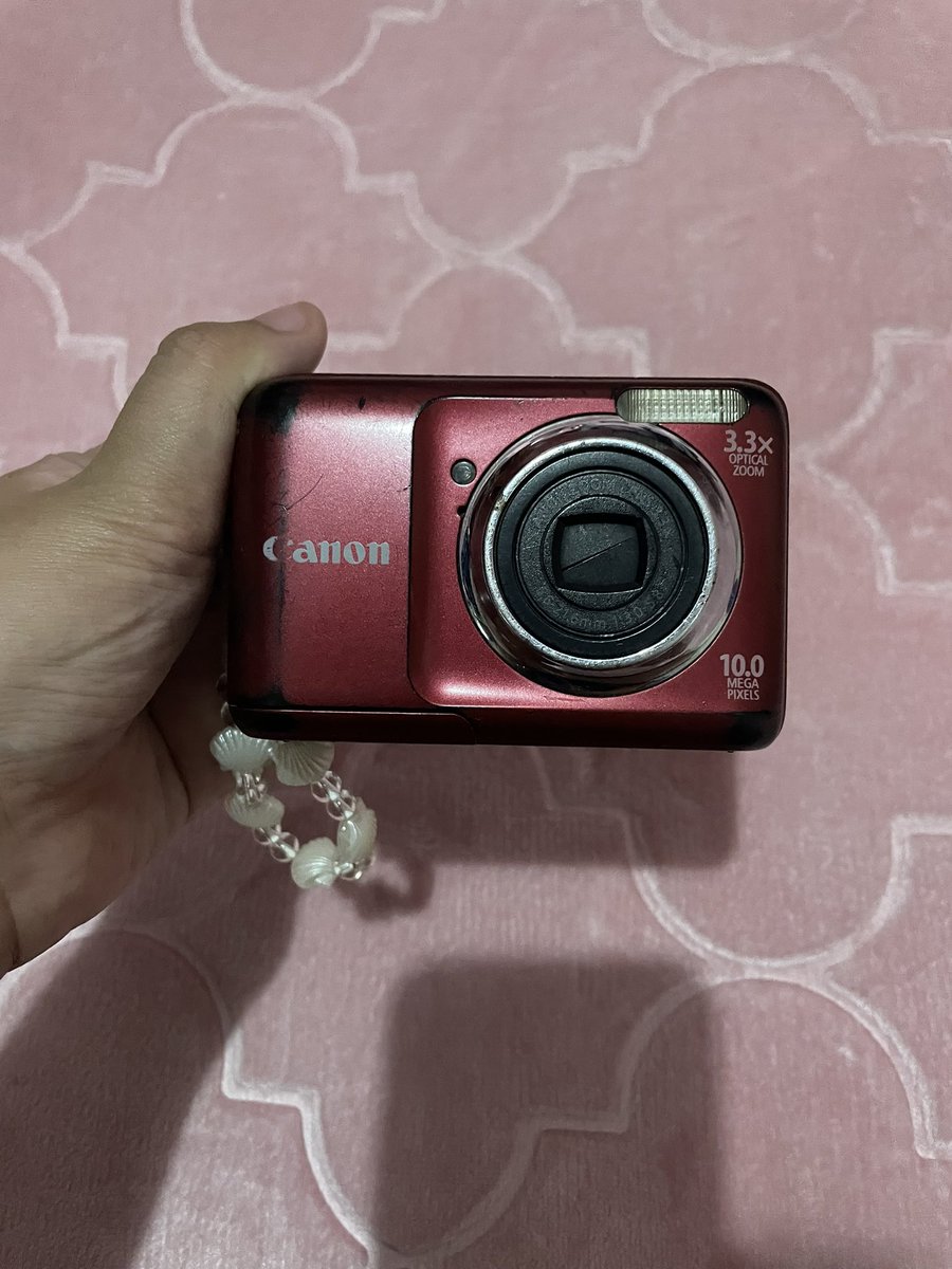 loveethecat tweet media