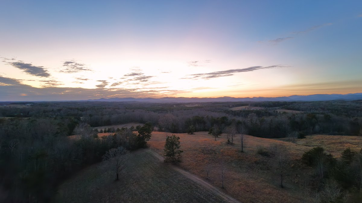 DSeymour tweet media