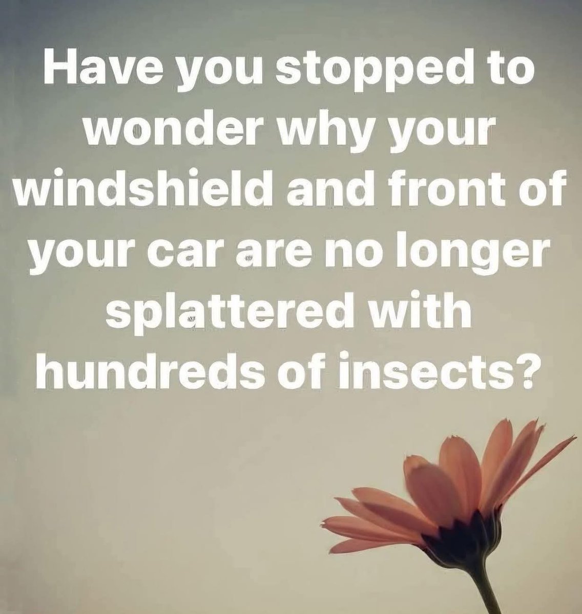 stargazeruk7's tweet image. 