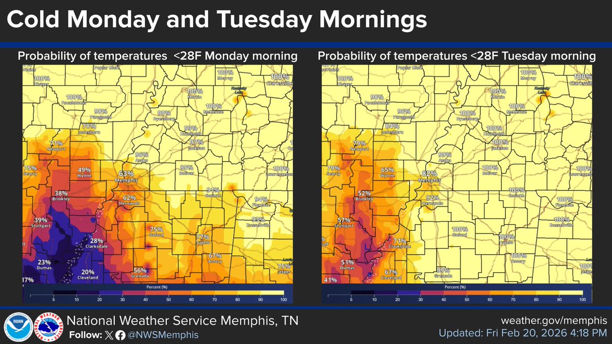 Confidence continues to increase for some cold mornings early next week! Here are the probabilities for morning temperatures less than 28 degrees on Monday and Tuesday mornings🥶 #arwx #mowx #mswx #tnwx