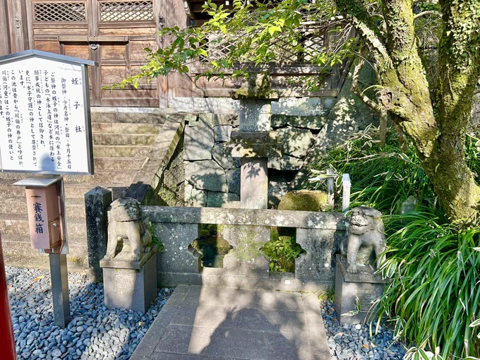お諏訪さんこと、諏訪神社。 月刊美術のエッセイと『オマージュ北斎』に出品する絵画の取材で、蛭子社の河童狛犬さんに会いに来ました。 柴田亜美 #長崎