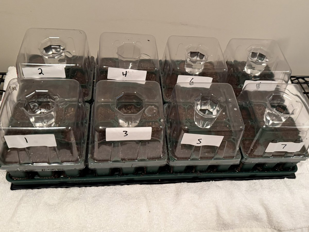 Car_Wreck_Doctor tweet media