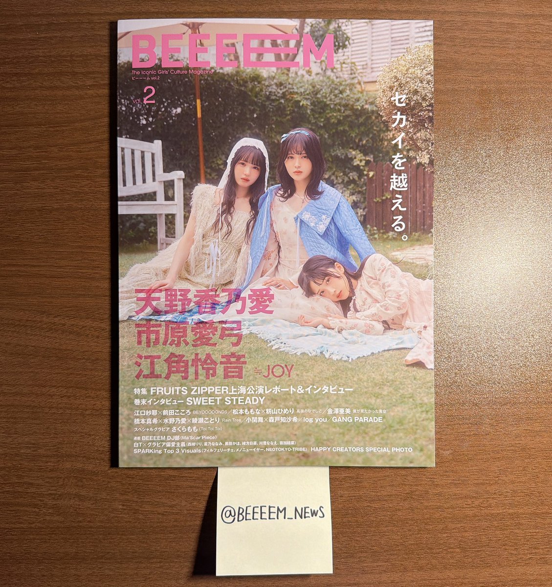 ◤￣￣￣￣￣￣￣￣￣￣￣￣￣ 『BEEEEM』 vol.2出版記念 直筆サイン