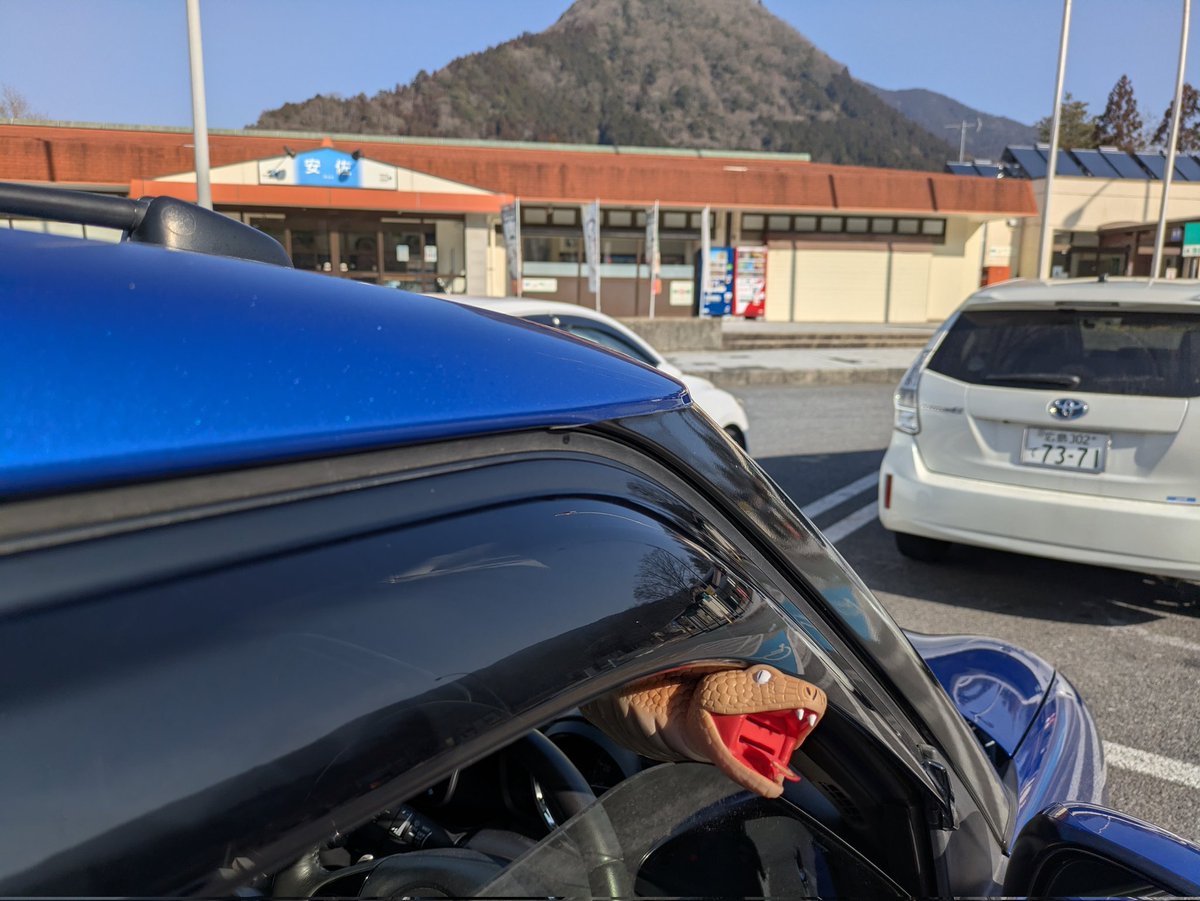 今日はここから🤣