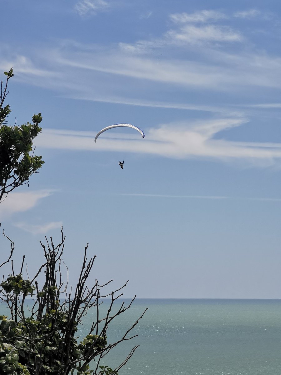 ◢◤ seelawrie ◉-◉¬ ◢◤ tweet media