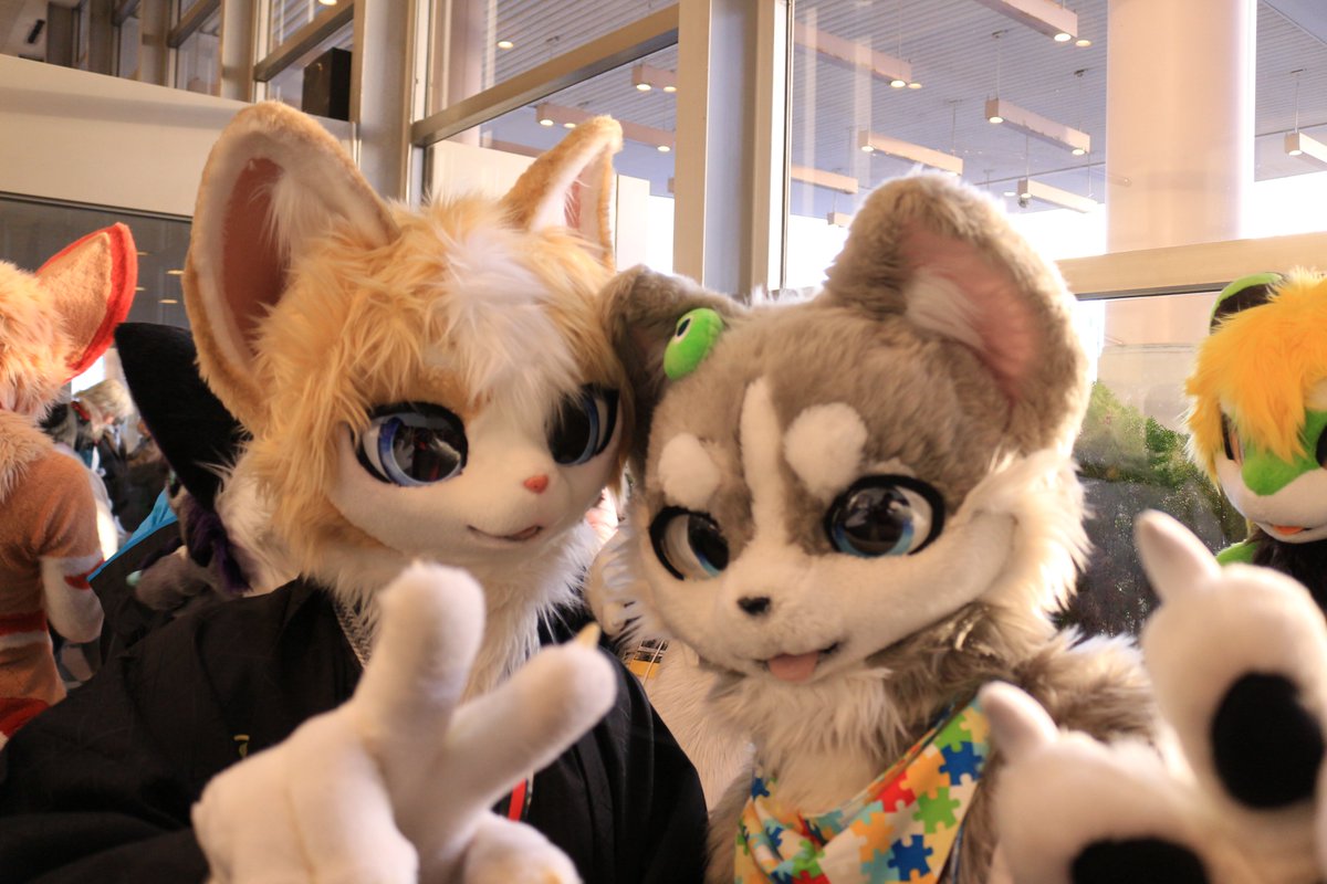 RukeNeko @MiZuKeN001 #JMoF2026