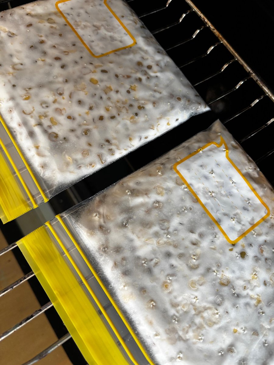 ekacan_g's tweet photo. Perjalanan membuat tempeh di suhu yg dingin ini akhirnya berhasil 😭
Tp kali ini pake lentil, bukan kedelai https://t.co/ehWwEHFVnV