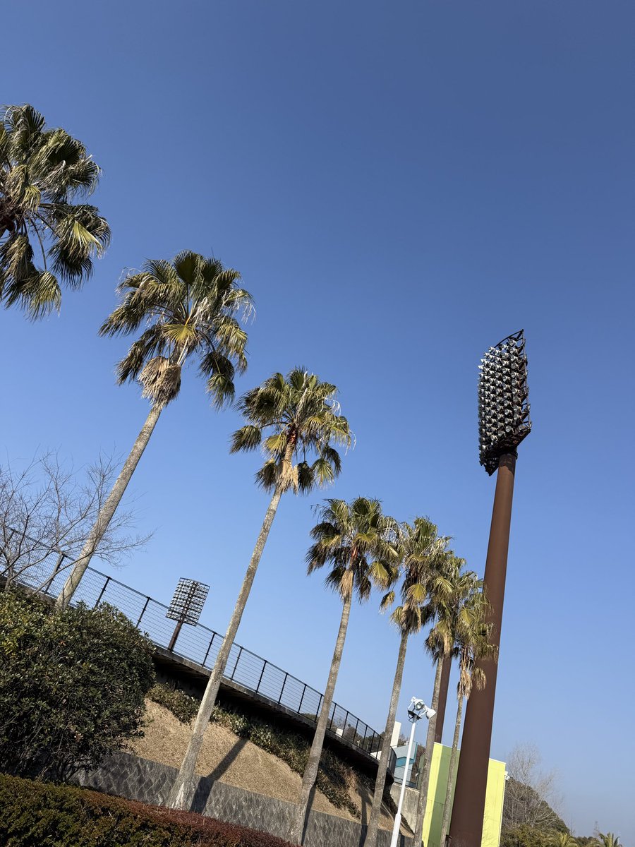R_icky1_'s tweet photo. ランニング日和🏃‍♂️
今日あったけ〜 https://t.co/DgQH2klRQq