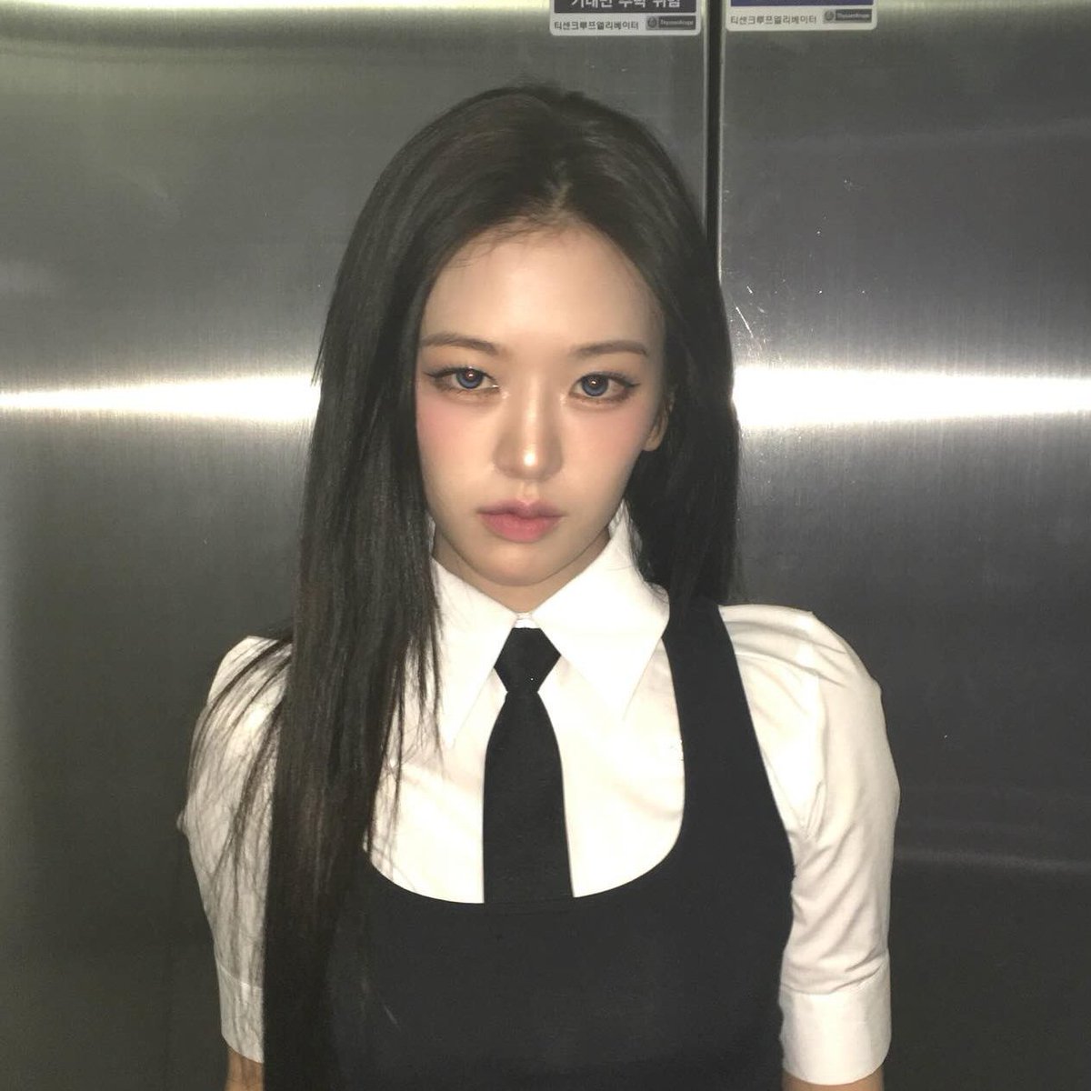 국가에서 통제 안될정도로 강해져서 제거대상 된 s급 센티넬같다