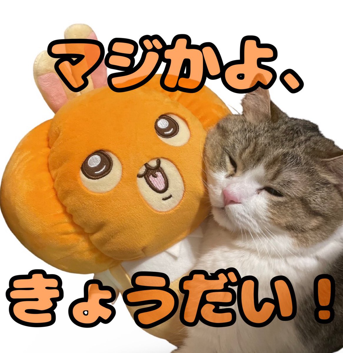 milanekko's tweet photo. ミラネッコ🐈🐾のストーリーズをチェック！ https://t.co/D8T8UaZofX https://t.co/HUnG6lWZBp