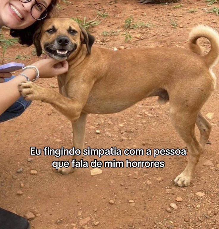 itimaliasof's tweet photo. https://t.co/DXkLYoyWb0