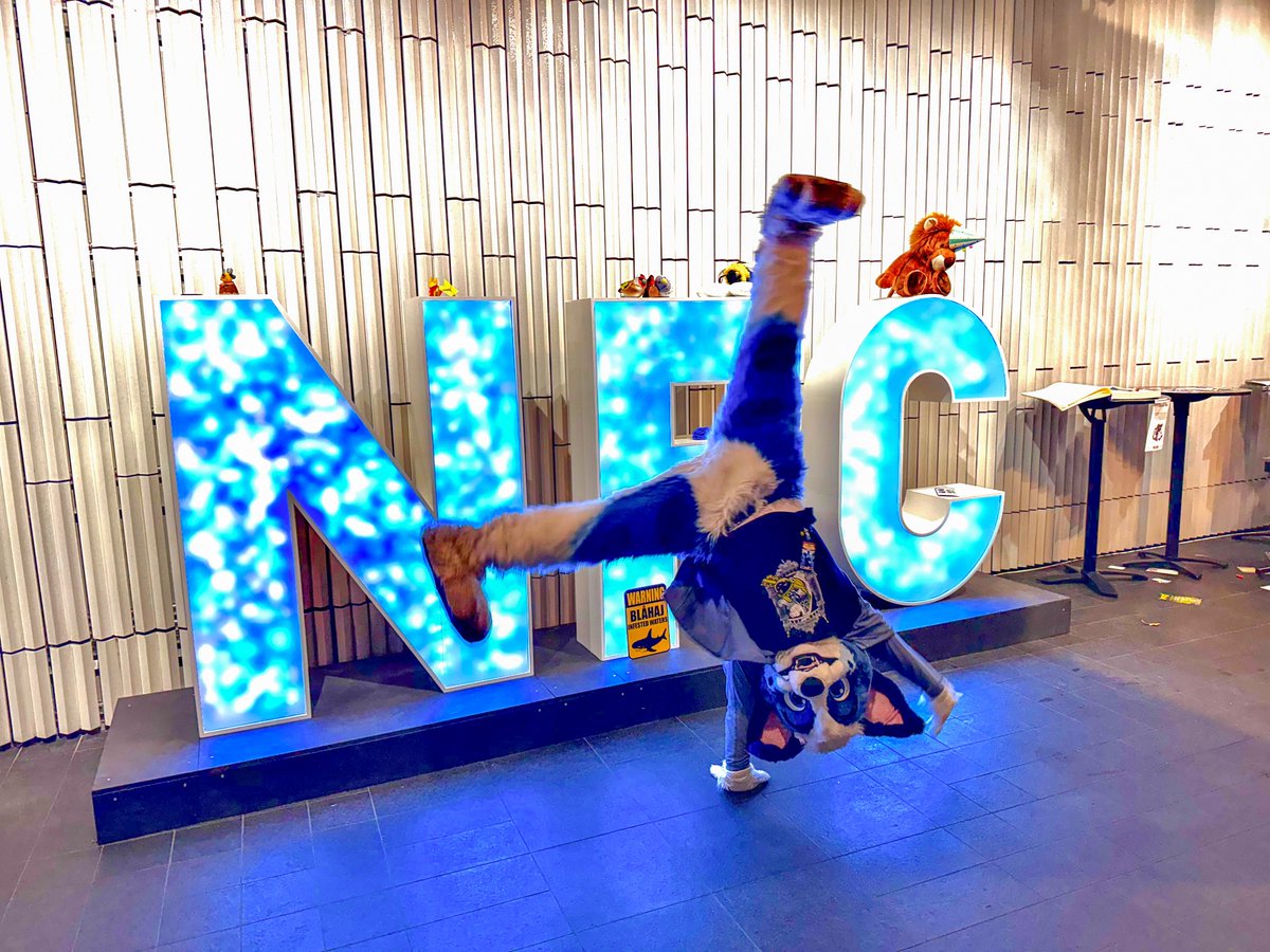 LittleAlphaPup's tweet photo. GUYS I LOVE NORDIC FUZZCON IN CASE YOU DIDNT KNOW https://t.co/PeylQdFA70