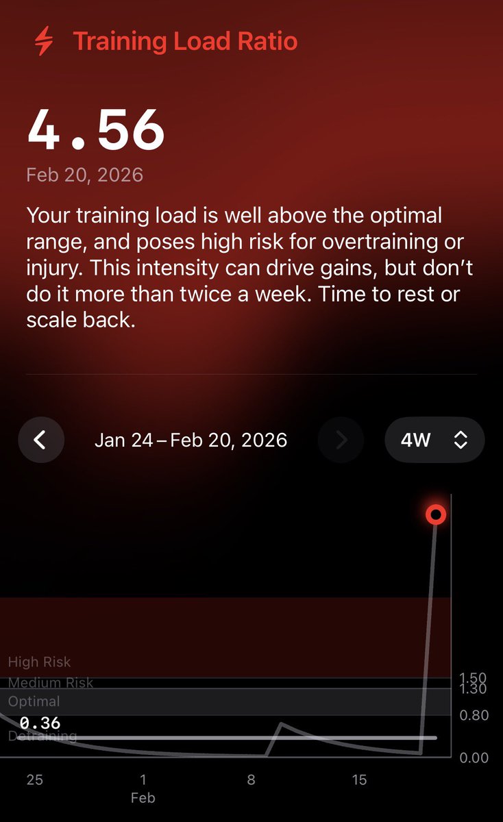 LailaAnn tweet media