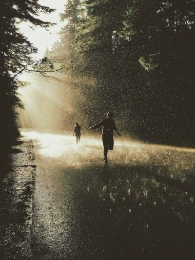 litomd's tweet image. Nunca nos sentimos más libres que aquel día en que escapamos de la escuela para recorrer el bosque

La lluvia nos empapó pero estábamos felices

Los árboles cambiaron nuestra libertad por el dulce vínculo del amor

50 años después, los árboles nos mantienen juntos

#Microcuento