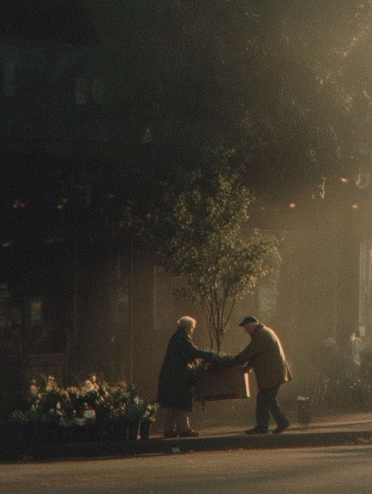 litomd's tweet image. Nunca nos sentimos más libres que aquel día en que escapamos de la escuela para recorrer el bosque

La lluvia nos empapó pero estábamos felices

Los árboles cambiaron nuestra libertad por el dulce vínculo del amor

50 años después, los árboles nos mantienen juntos

#Microcuento