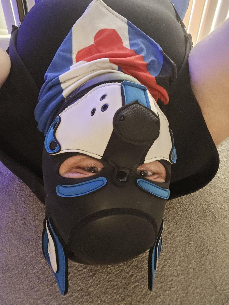 Pup Cobalt tweet media