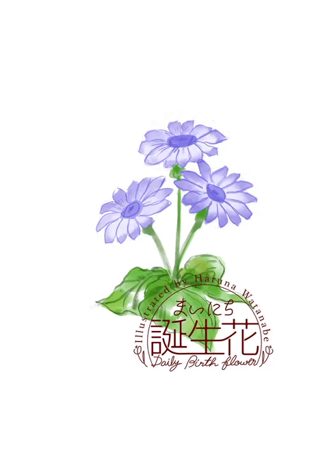 2月21日 サイネリア 花言葉 希望に満ちる #1日1絵 #まいにち誕生花