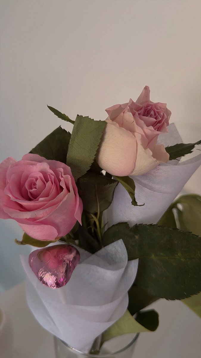 Krista 🌸✨ tweet media