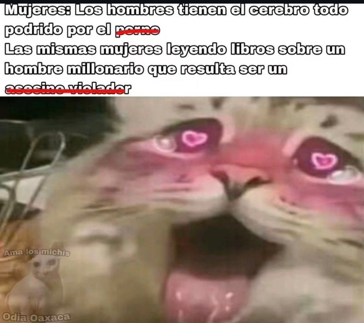 Memes para Otakus Gaymers de Closet en Inglés tweet media