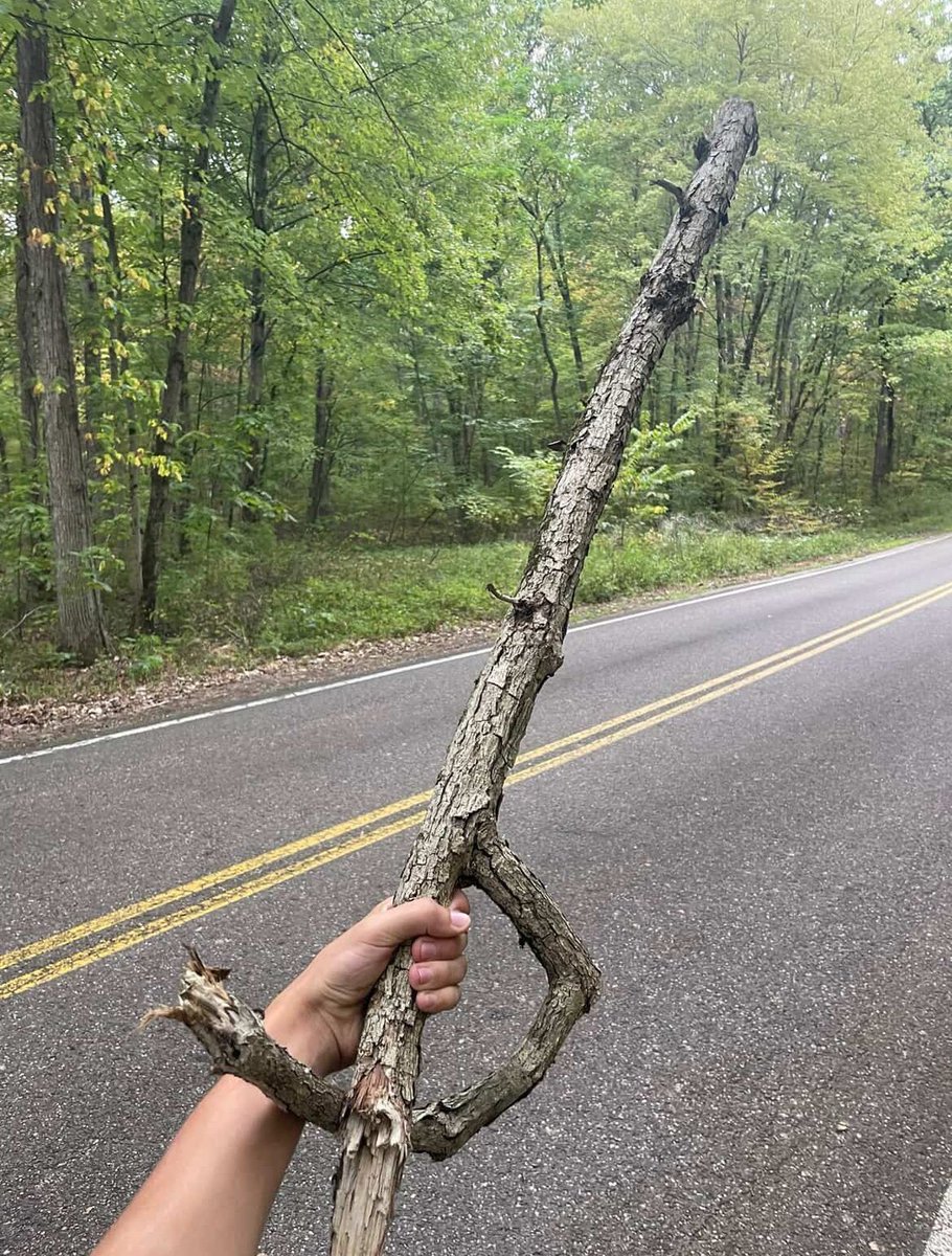found this stick today
