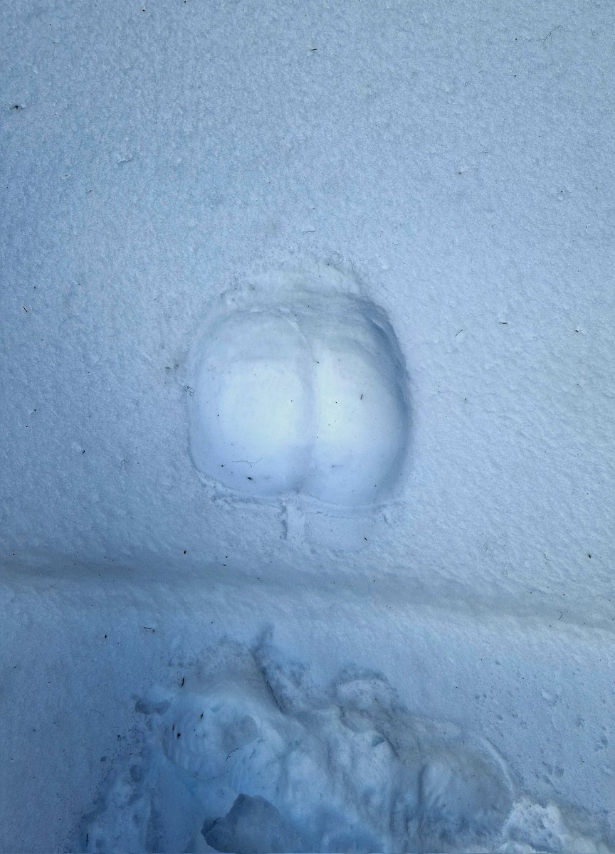 LadyN_24's tweet photo. Tu préfères laquelle ?

#like si t'aurais adoré filmer le moment où je me suis assise dans la neige 🥶😏
#RT si t'aurais préféré me voir moi 😈

#ski #vacances #empreinte #exhib #libertine https://t.co/u0BRk3DyZn