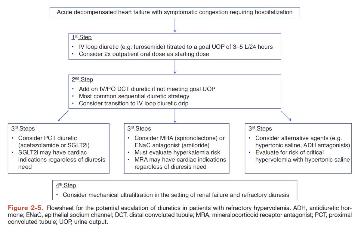 edgarvlermamd's tweet photo. Flowsheet for the potential escalation of diuretics in patients with refractory hypervolemia 
#Nephpearls #Cardiorenal

👉 https://t.co/4mvwuYf8P2 https://t.co/EViyGdQFuj
