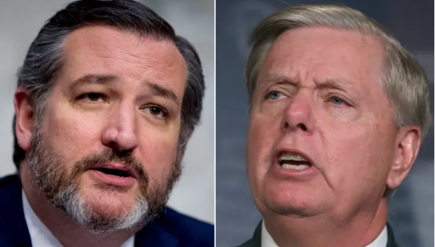 Jamie Haase tweet media