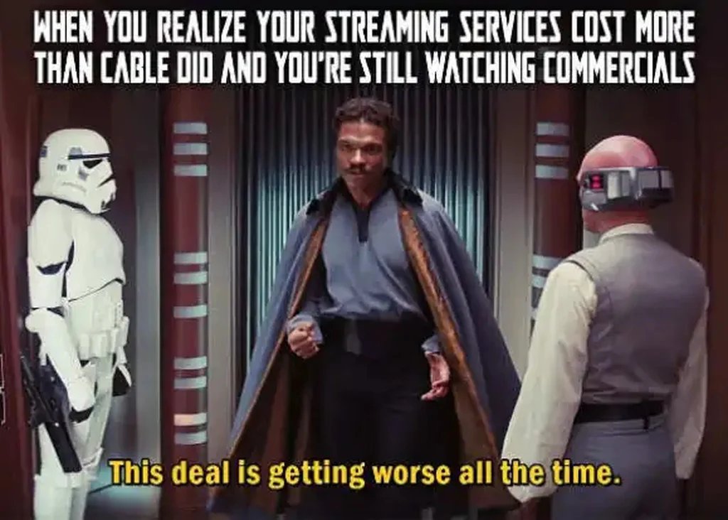 I tried saying this on several shows about 7 years ago when I was going more media interviews... 

This is the biggest scam ever perpetrated for media services.. 

We were all far better off buying DVD's and Blu Rays, and having Cable with On Demand..