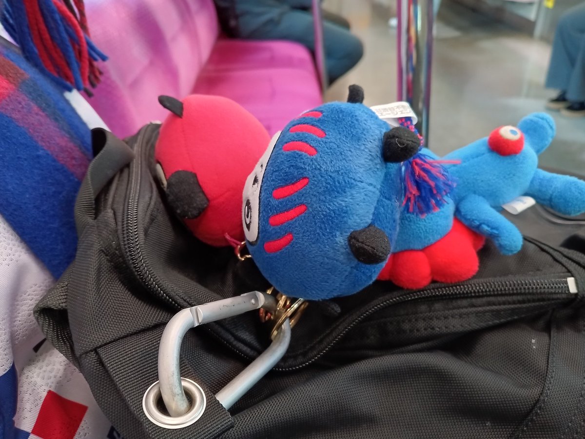 はちわれ (@hachiware_y) / Posts / X