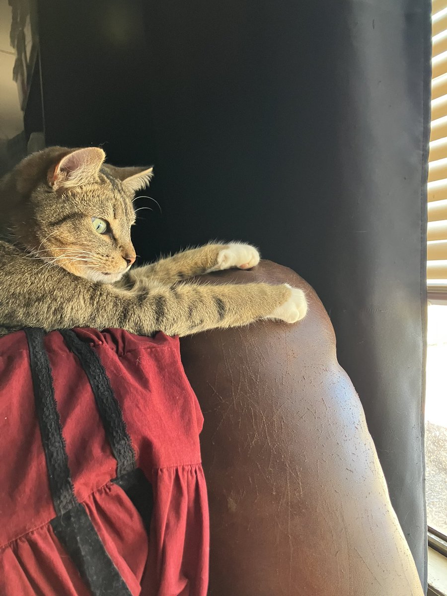 Galadriel Flowers tweet media