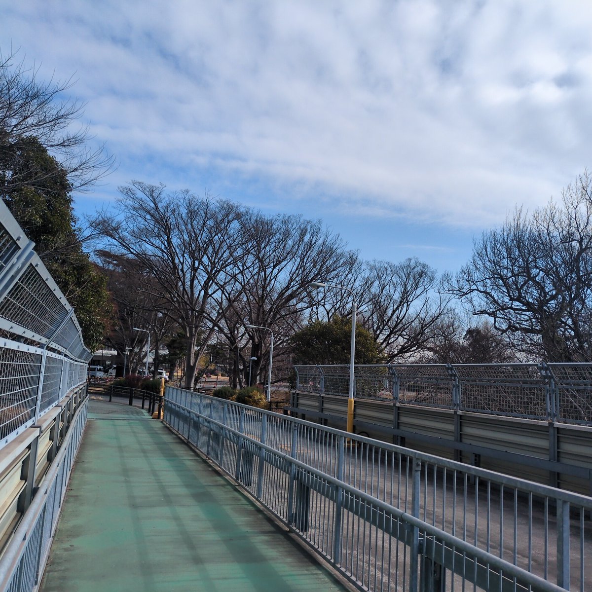 いい天気だ。
寒くもない。