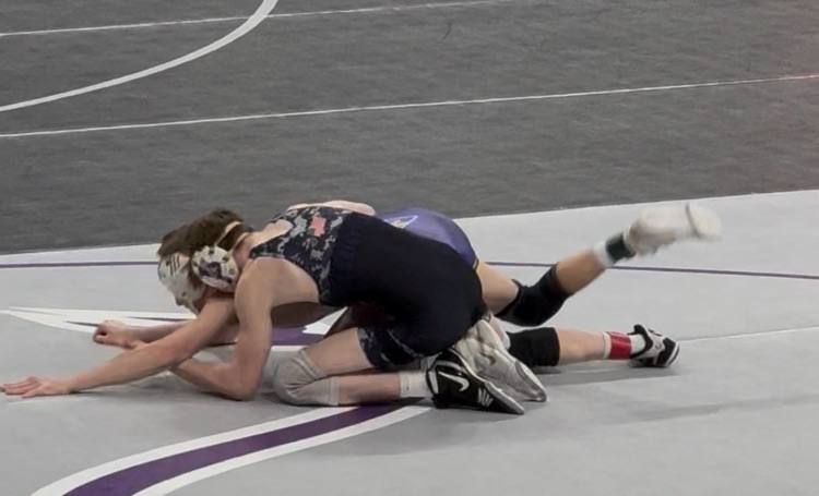 Purple Pride tweet media