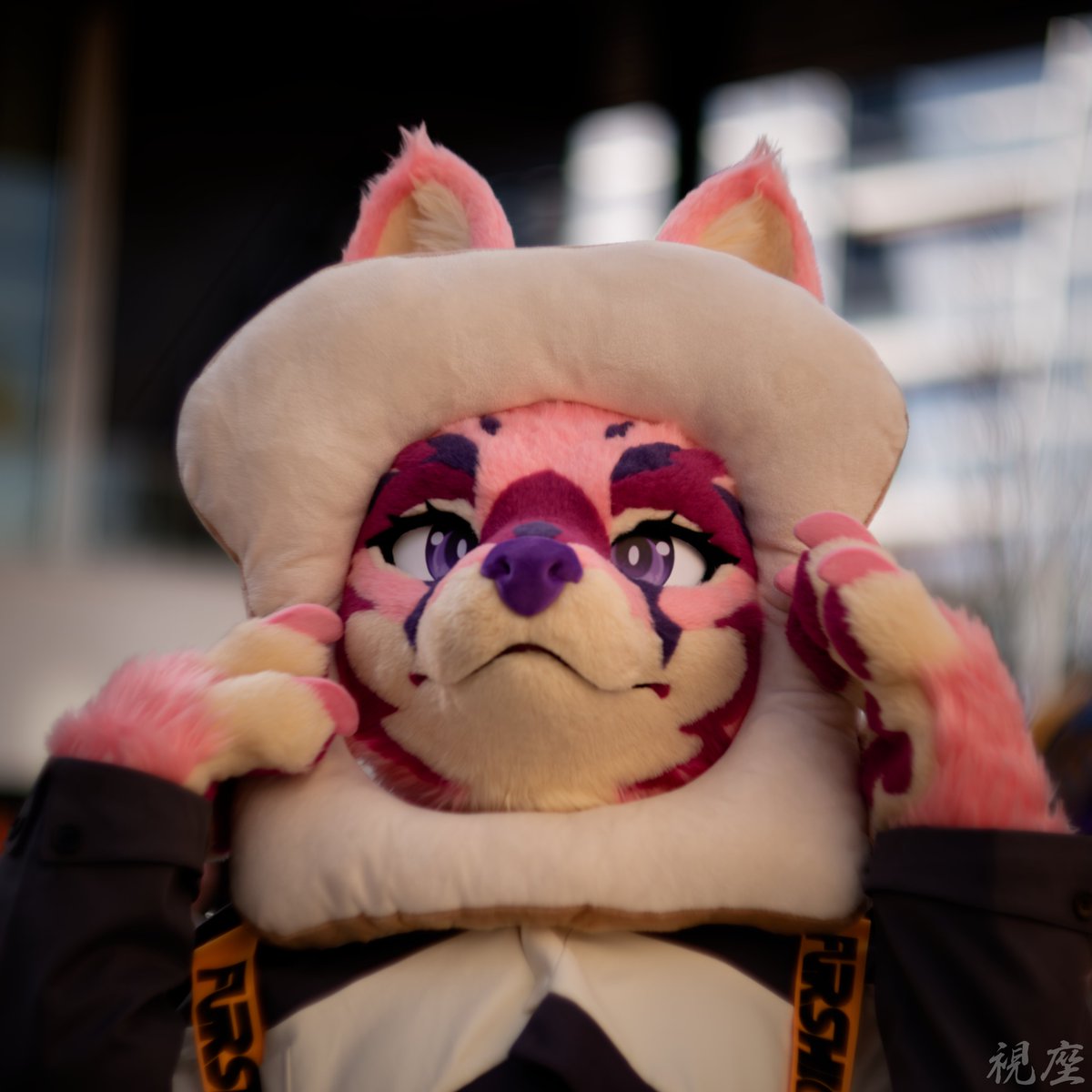 Pink Drink Serval 🍓🔜 LVFC tweet media