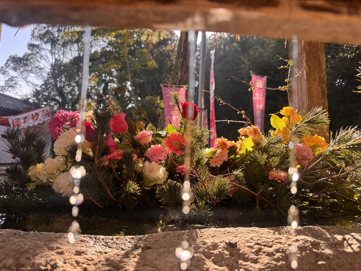 糸島市の産直で切花を購入し、職員で花手水を活けました🌸
ぜひご家庭でも、糸島の花を楽しんでみて下さい💐