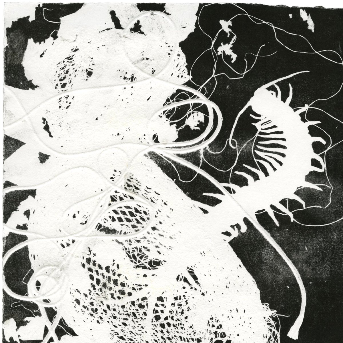 broken canyon tweet media