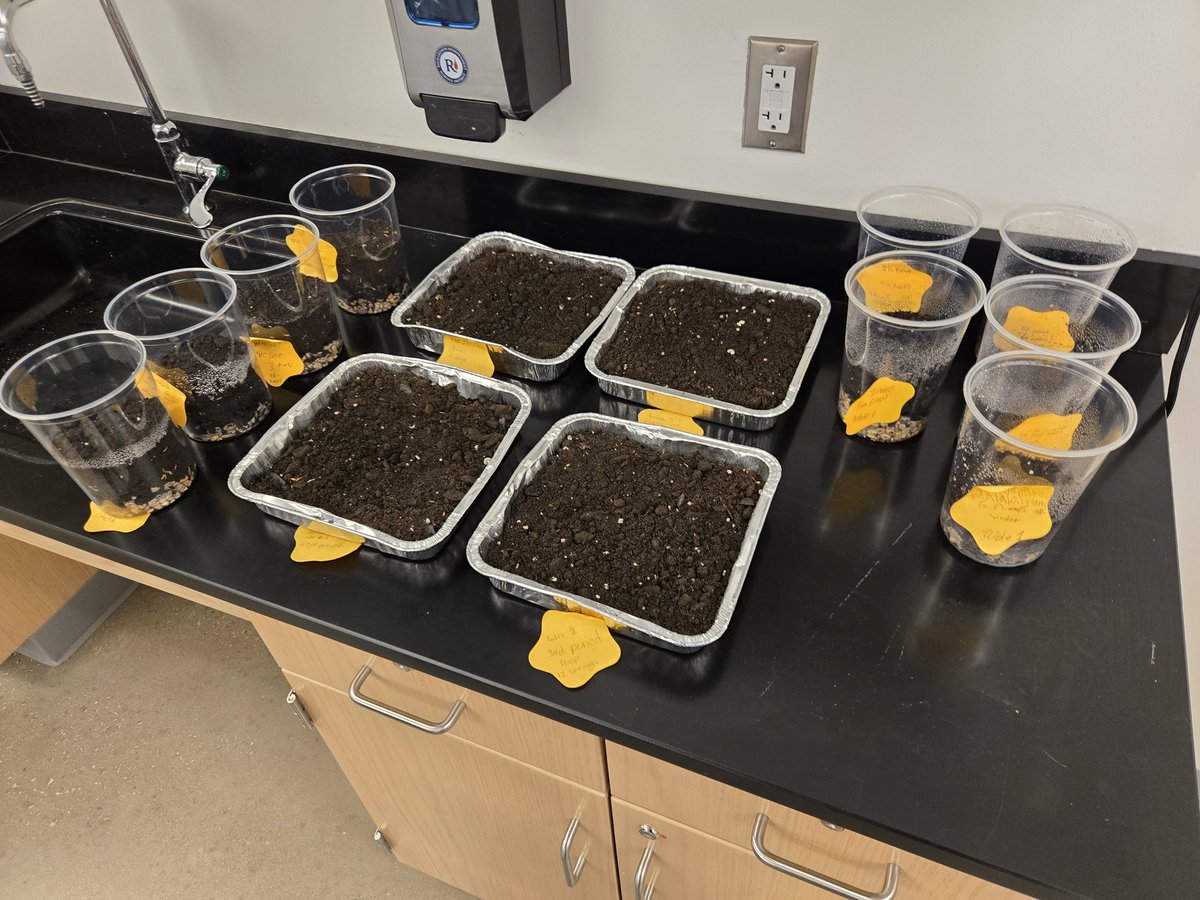 Justin Pata tweet media