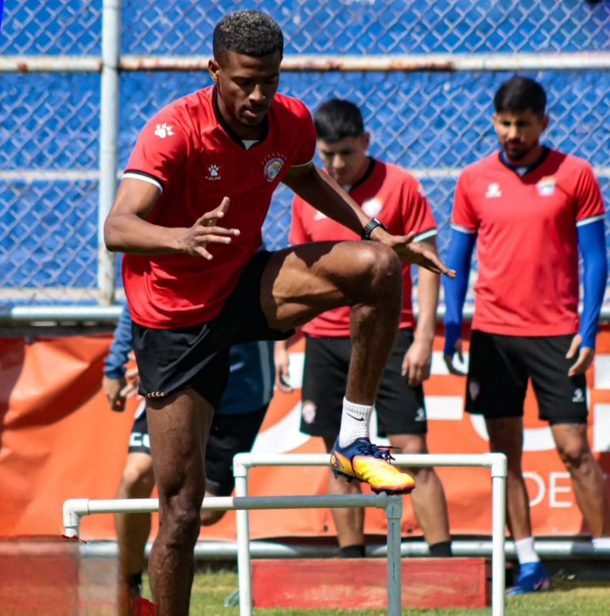 LocosPorXelaju's tweet photo. ¡ENTRENO SUPER CHIVO!

El equipo Altense entreno este día en el estadio Mario Camposeco, afinando detalles técnicos y tácticos para encarar el duelo del día domingo ante Mixco a las 8pm.

#InfoLPX
#Clausura26
#VamosXela https://t.co/4sO8nNT81D